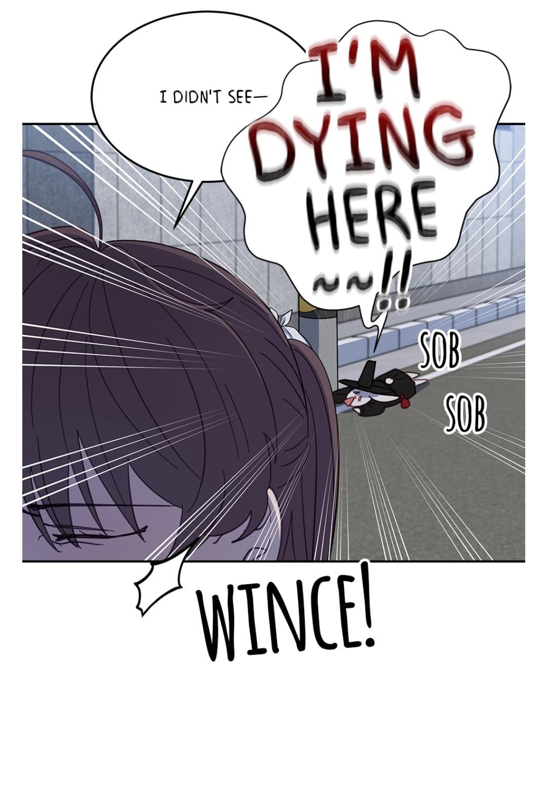 An animal hospital in the border area Chapter 15 258 059