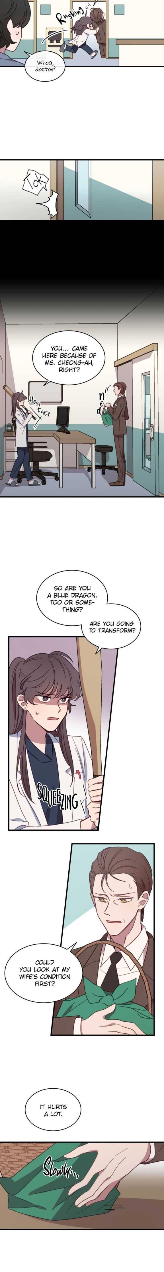 An animal hospital in the border area Chapter 3 82 006