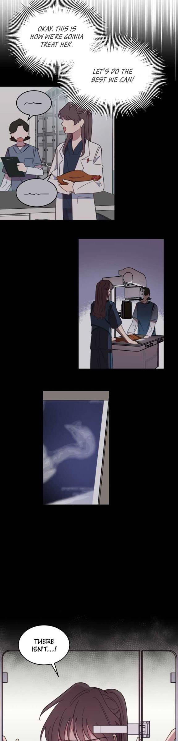 An animal hospital in the border area Chapter 3 92 016