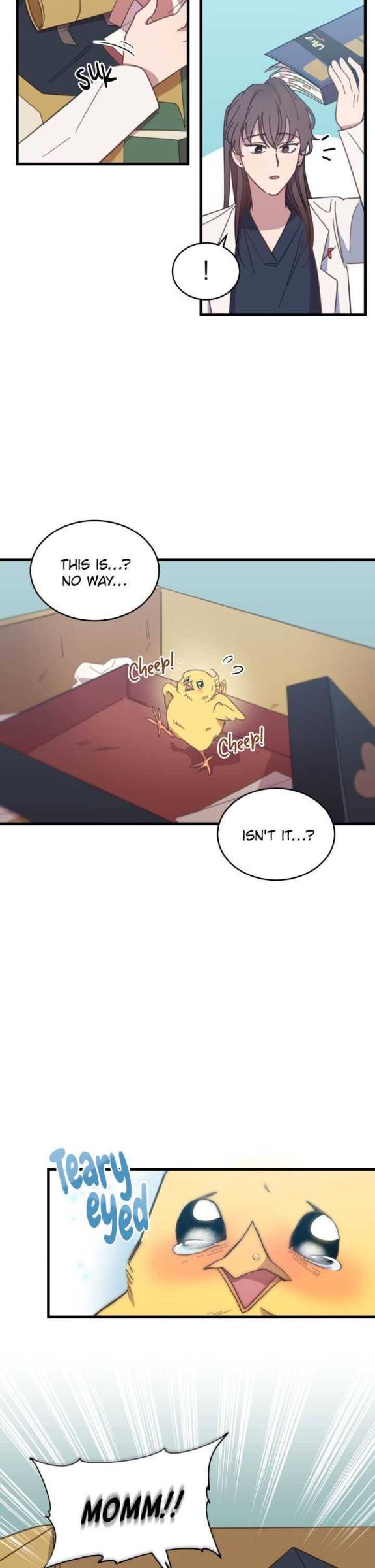 An animal hospital in the border area Chapter 3 95 019