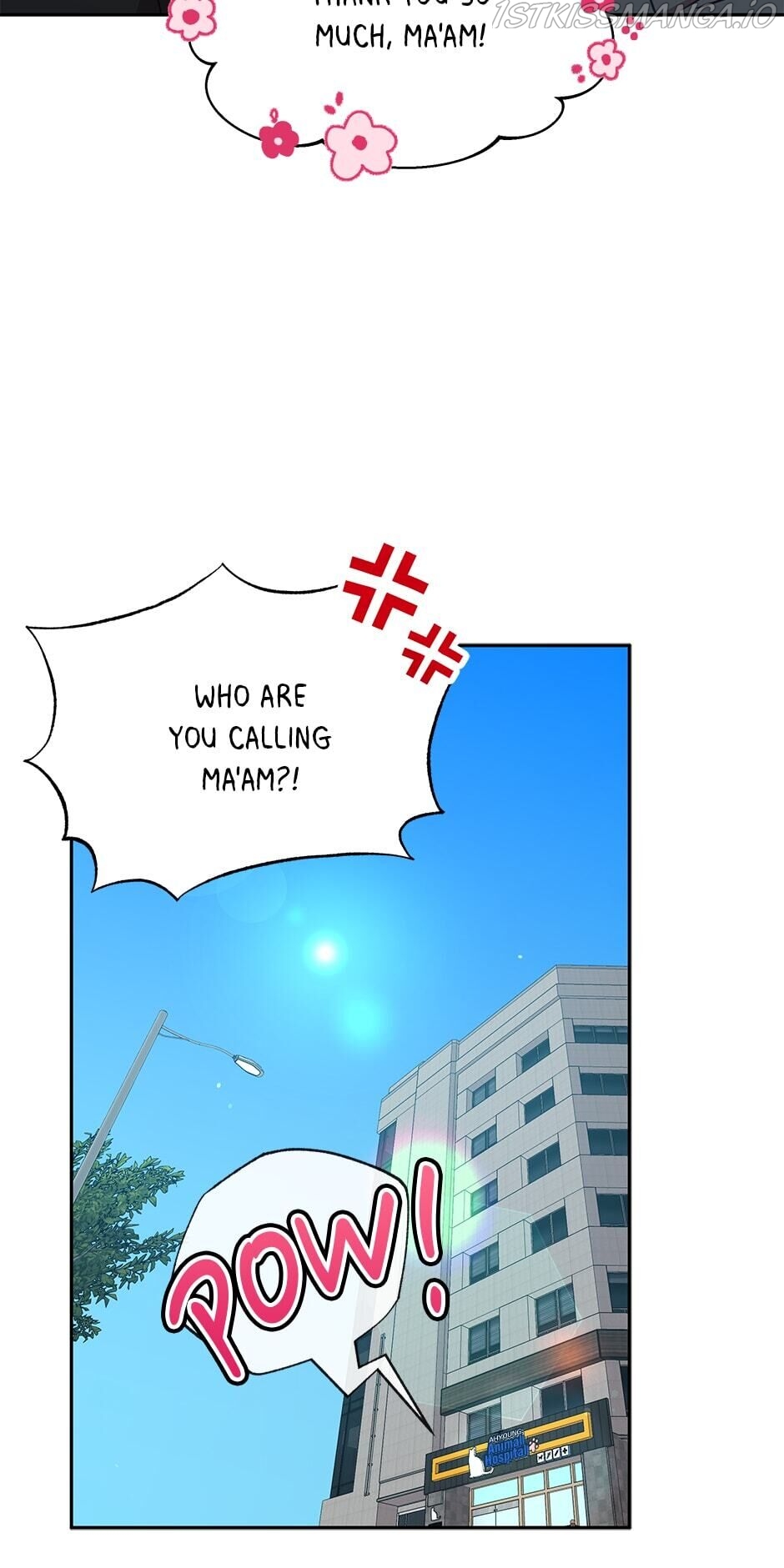 An animal hospital in the border area Chapter 35 233 019