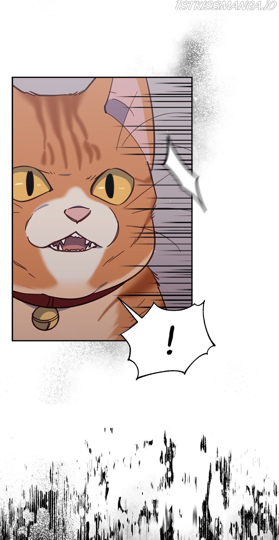 An animal hospital in the border area Chapter 35 245 031