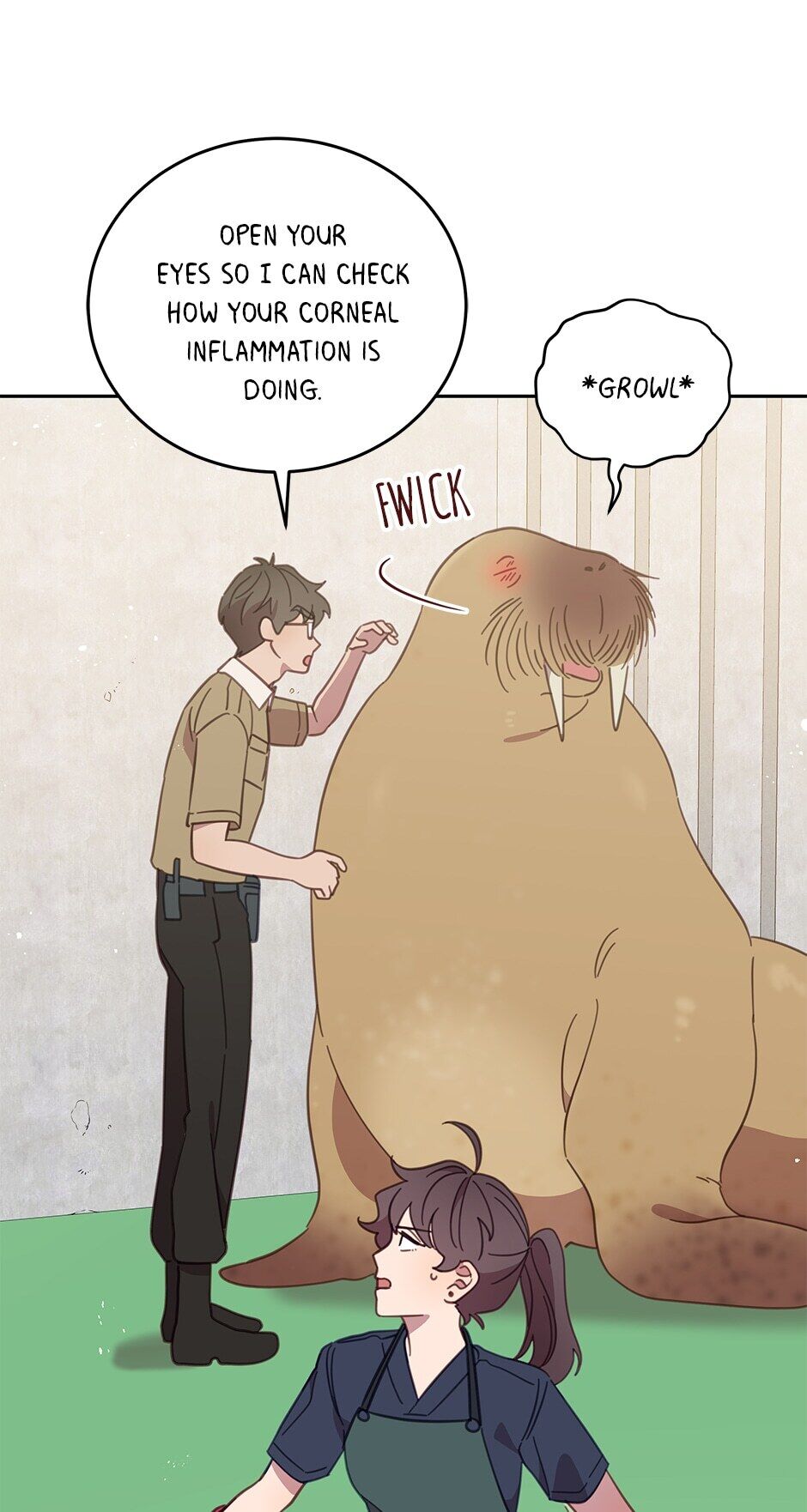 An animal hospital in the border area Chapter 54 258 035