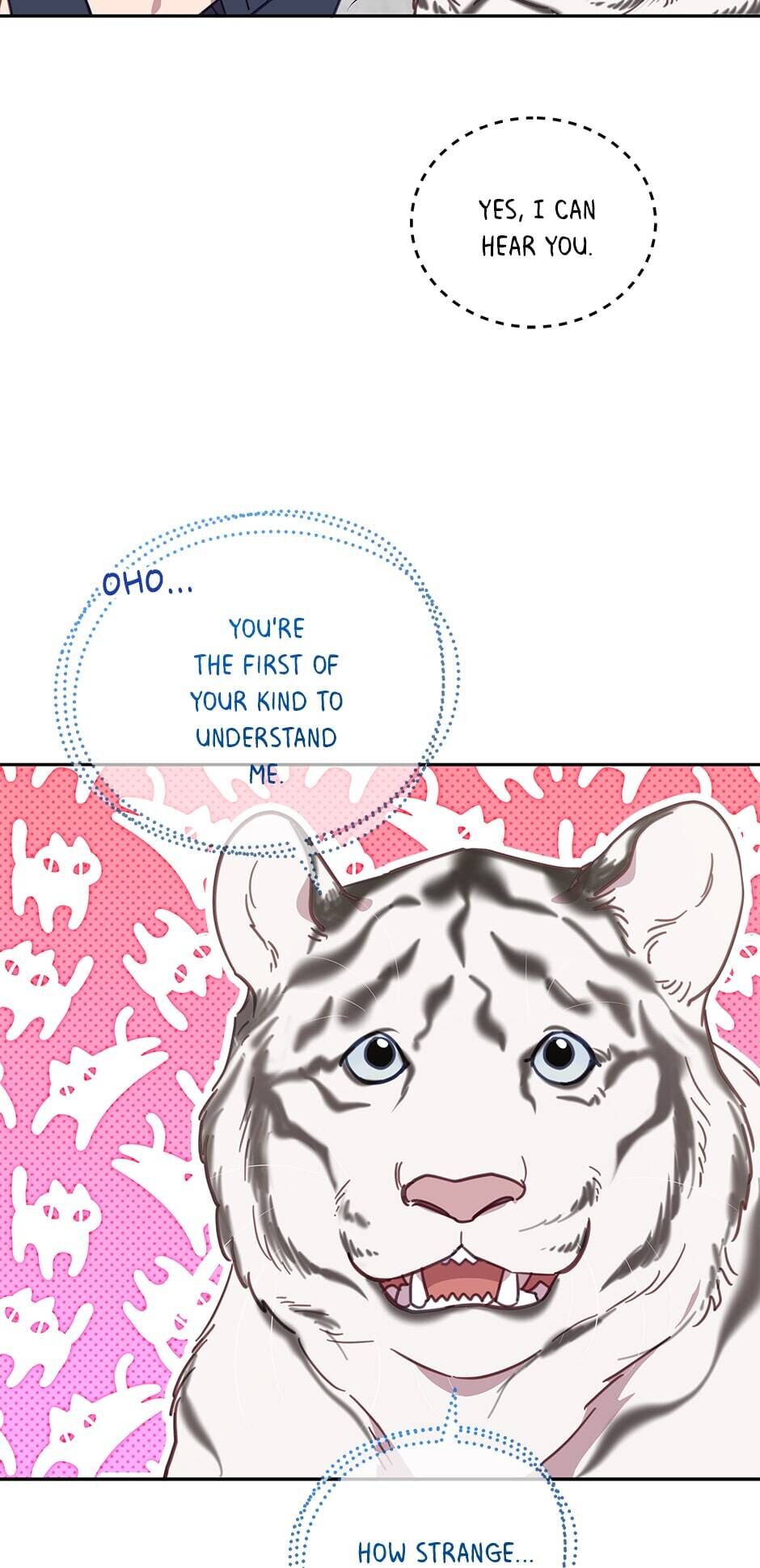 An animal hospital in the border area Chapter 54 274 051