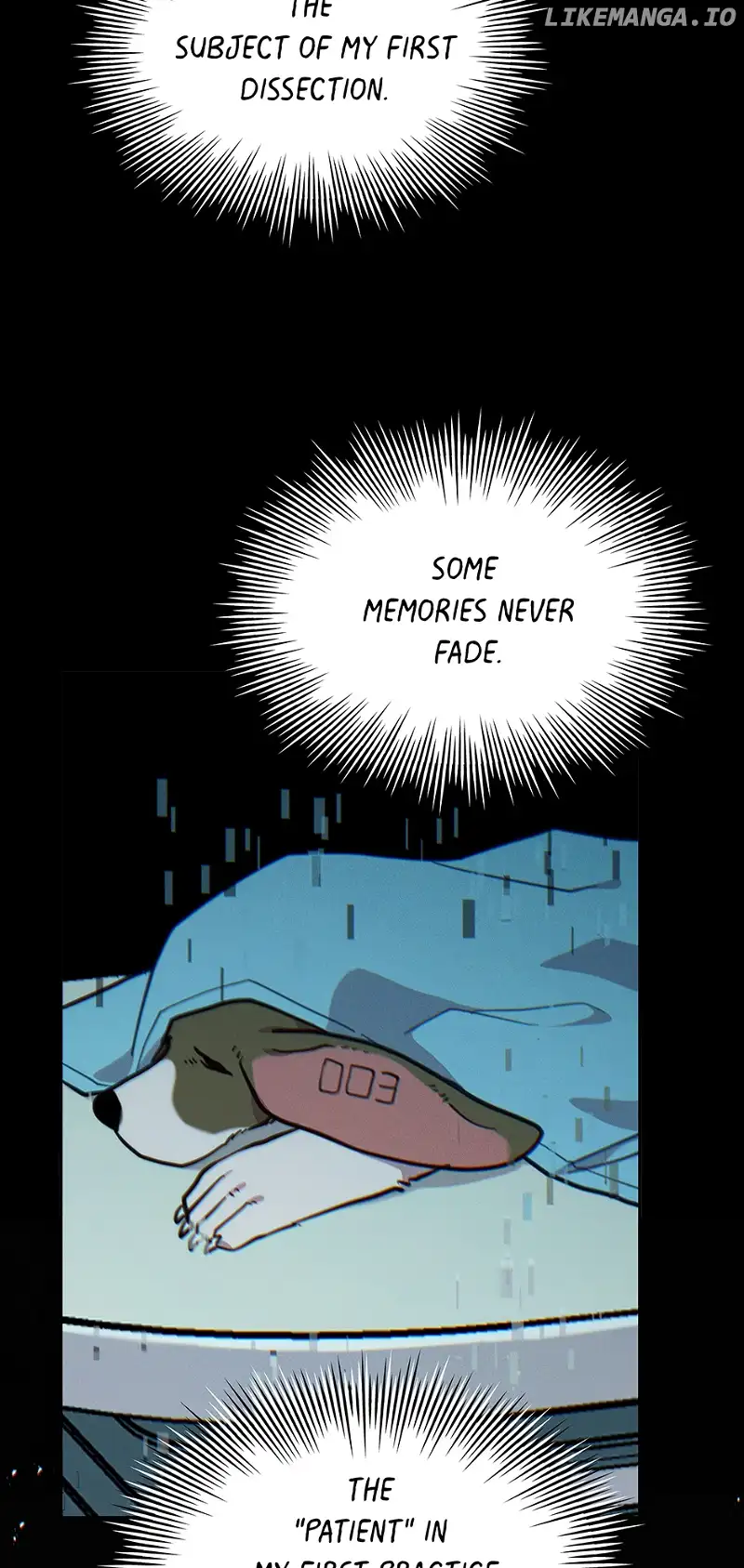 An animal hospital in the border area Chapter 93 248 31