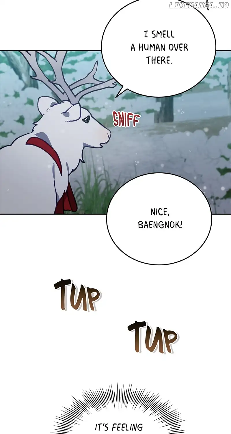 An animal hospital in the border area Chapter 93 282 65