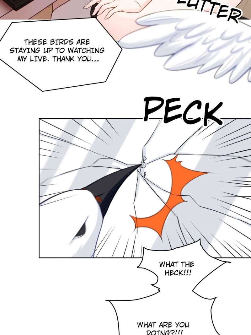 Ancestor is beautiful and elegant Chapter 57 177 11