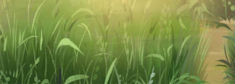 Ancient God’s Chosen Warriors Chapter 120 228 35