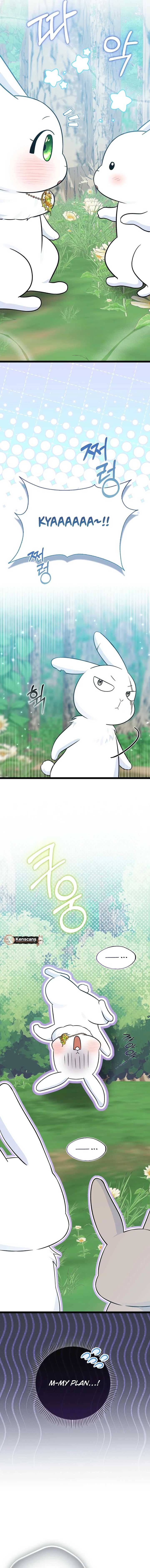 Anyone Can See It’s A Beast Chapter 31 84 08