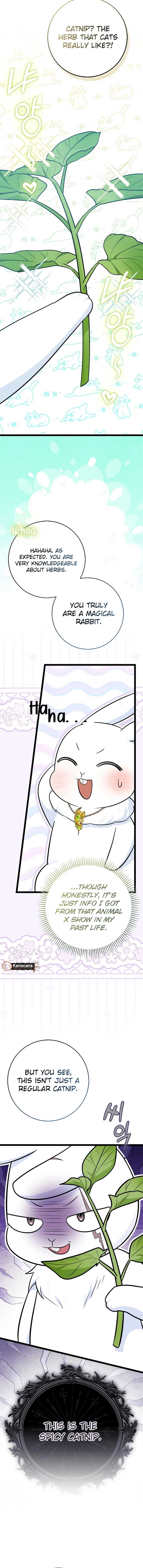 Anyone Can See It’s A Beast Chapter 31 93 17