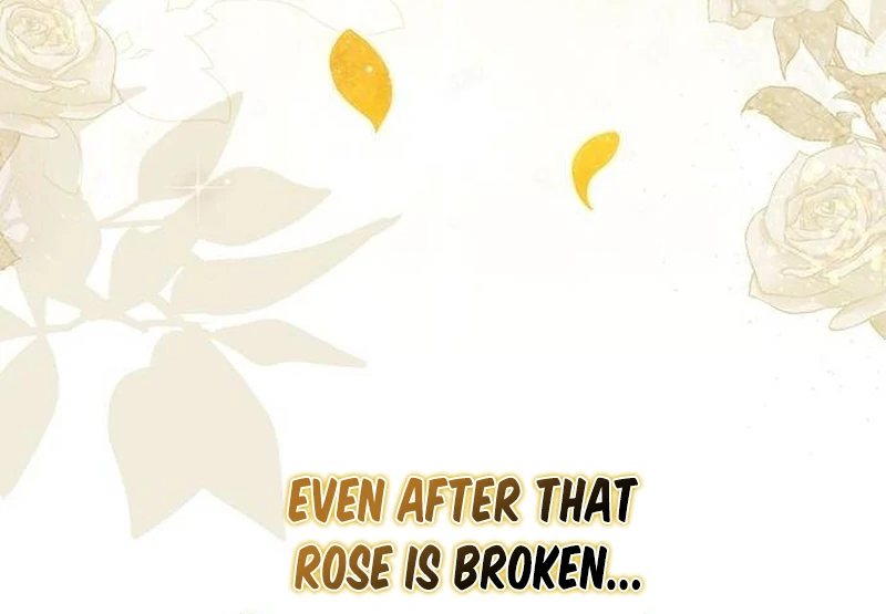 At the Place Where the Golden Rose Broke Chapter 0 278 ch 0 67