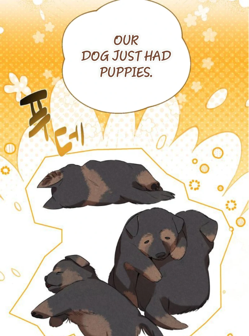 At the Place Where the Golden Rose Broke Chapter 13 519 ch 13 101