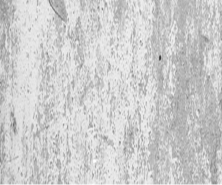 Aura Recovery: I Get a New Skill Everyday Chapter 190 283 45