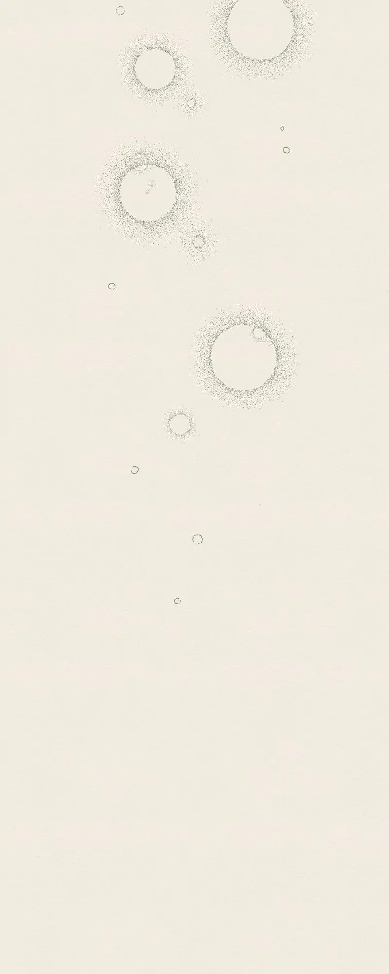 Aurora’s Sanctuary for Lost Things Chapter 1 230 055