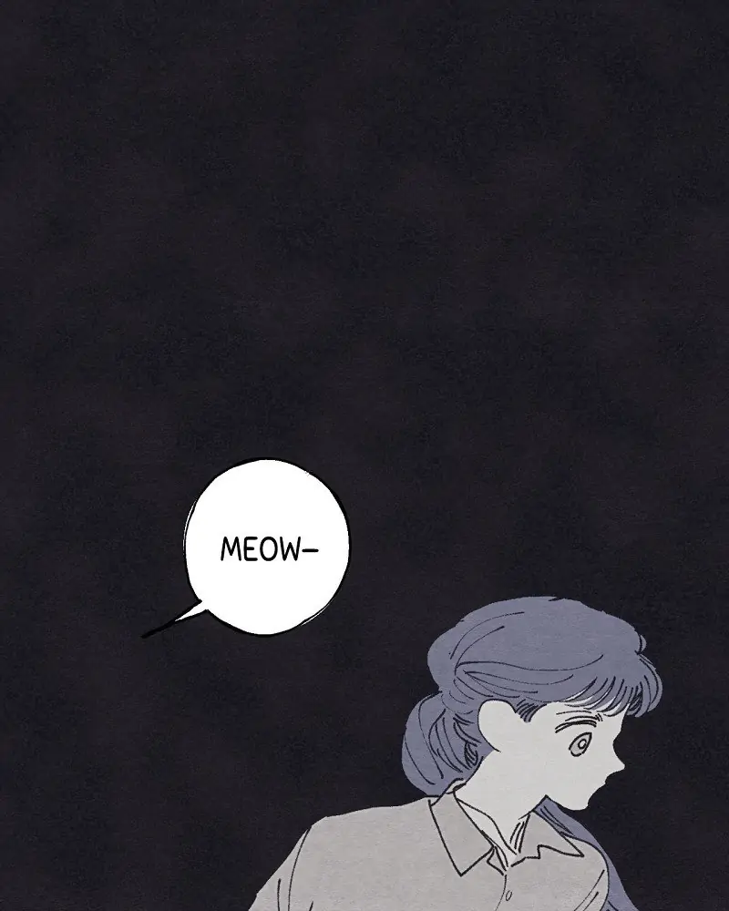 Aurora’s Sanctuary for Lost Things Chapter 2 177 017