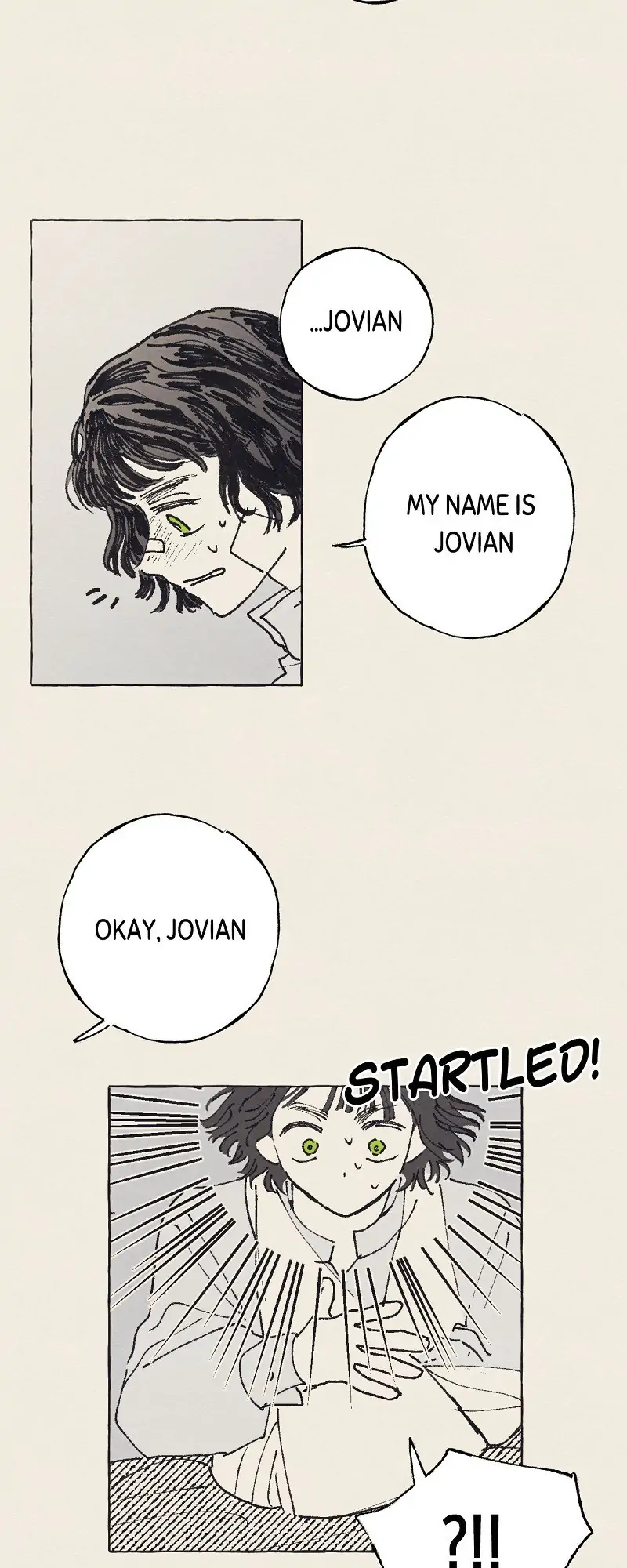 Aurora’s Sanctuary for Lost Things Chapter 2 195 035