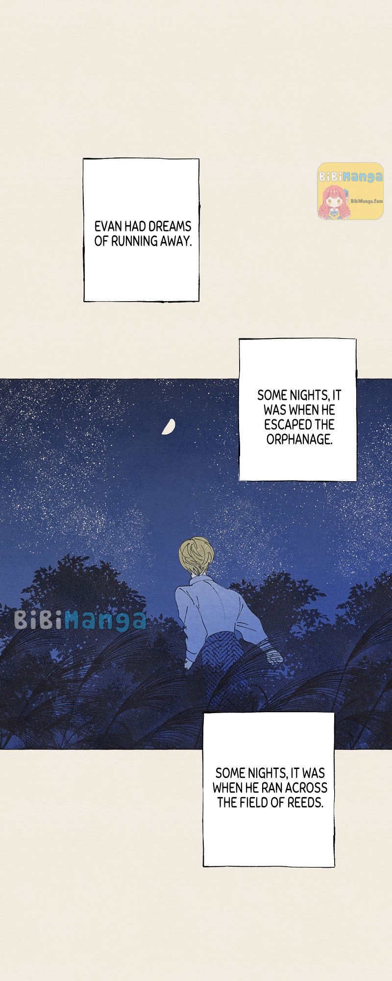 Aurora’s Sanctuary for Lost Things Chapter 32 238 41