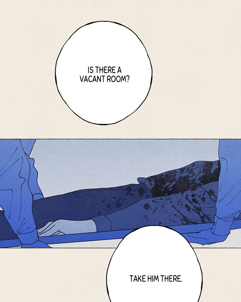 Aurora’s Sanctuary for Lost Things Chapter 32 204 7