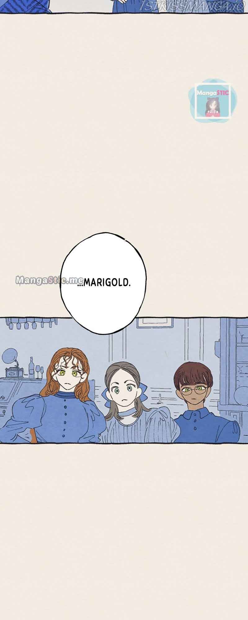 Aurora’s Sanctuary for Lost Things Chapter 47 154 33