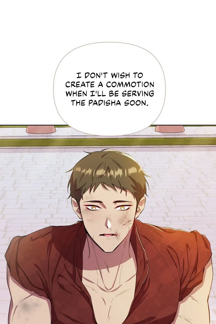 Author, In This Life I’m The Protagonist Chapter 41 374 010