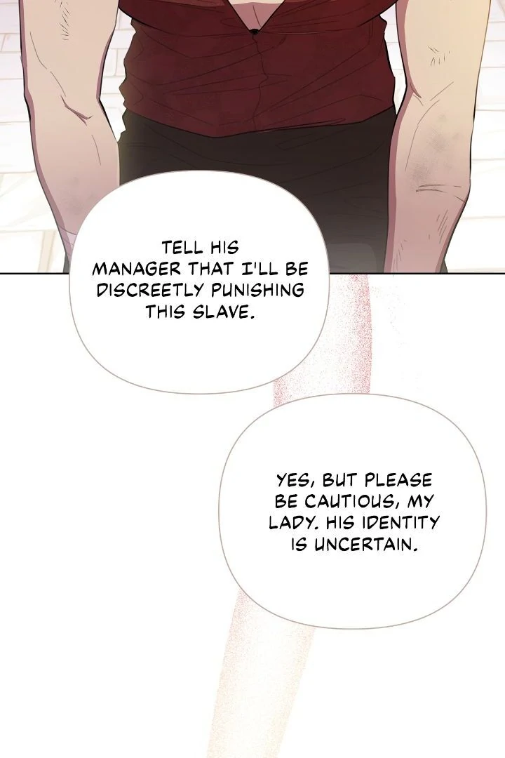 Author, In This Life I’m The Protagonist Chapter 41 375 011