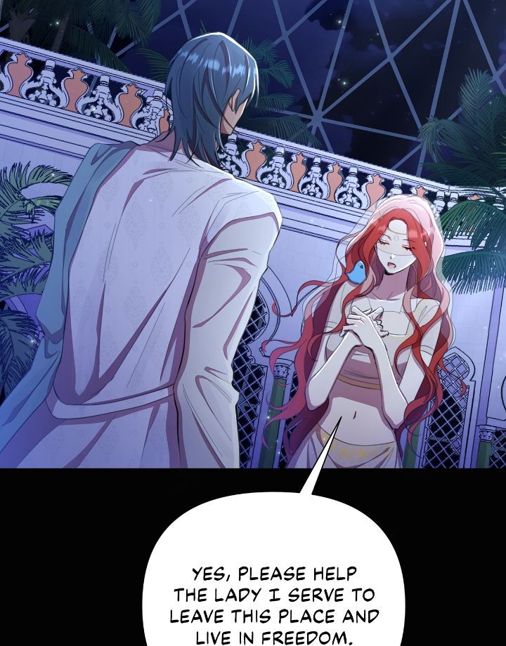 Author, In This Life I’m The Protagonist Chapter 42 414 065