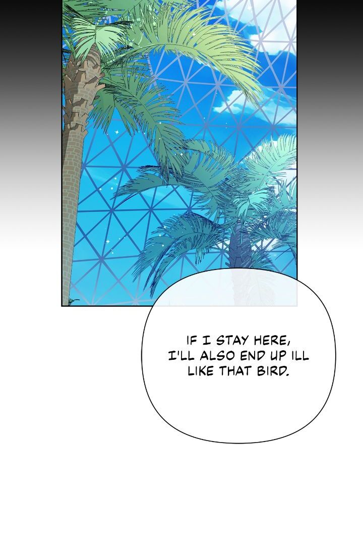 Author, In This Life I’m The Protagonist Chapter 44 435 047