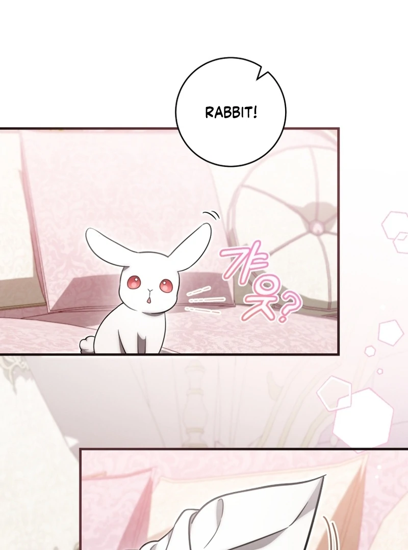 Baby Dragon to the Duke’s Rescue Chapter 20 419 088