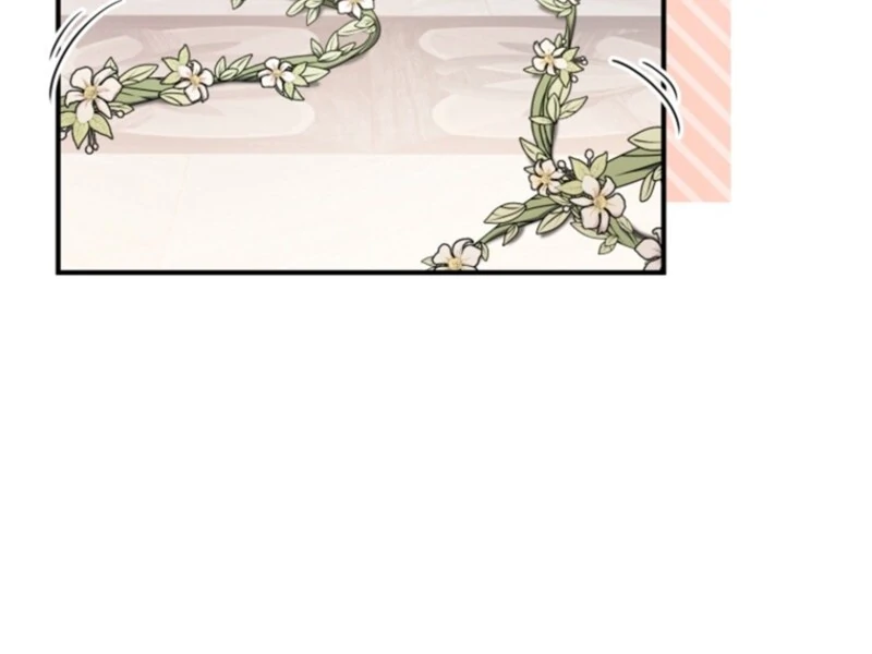 Baby Pharmacist Princess Chapter 101 531 044