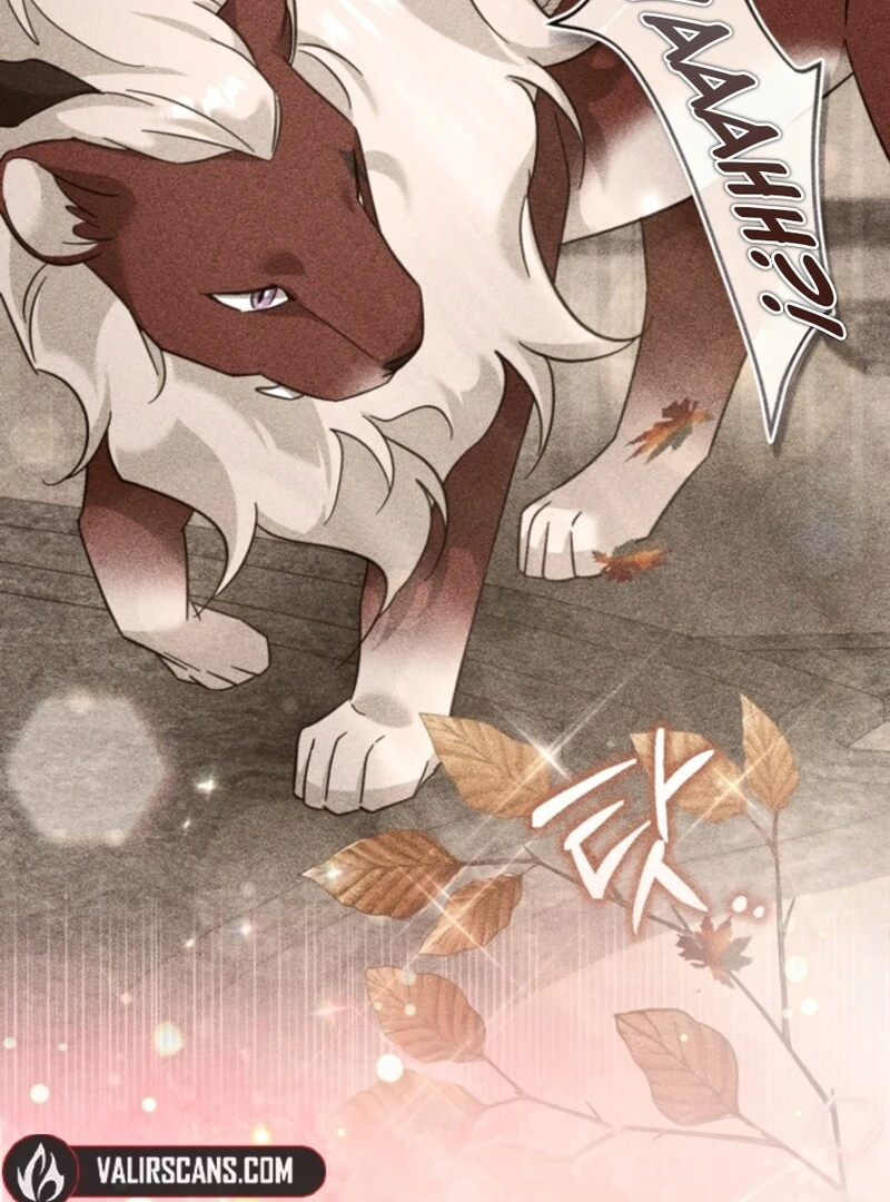 Baby Pharmacist Princess Chapter 101 582 095