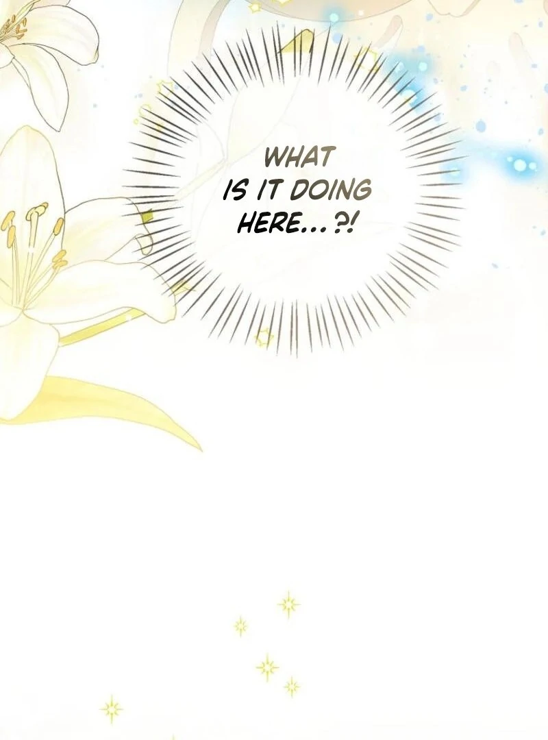 Baby Princess Through the Status Window Chapter 143 491 ch 143 49