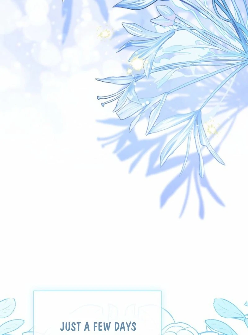 Baby Princess Through the Status Window Chapter 145 569 109