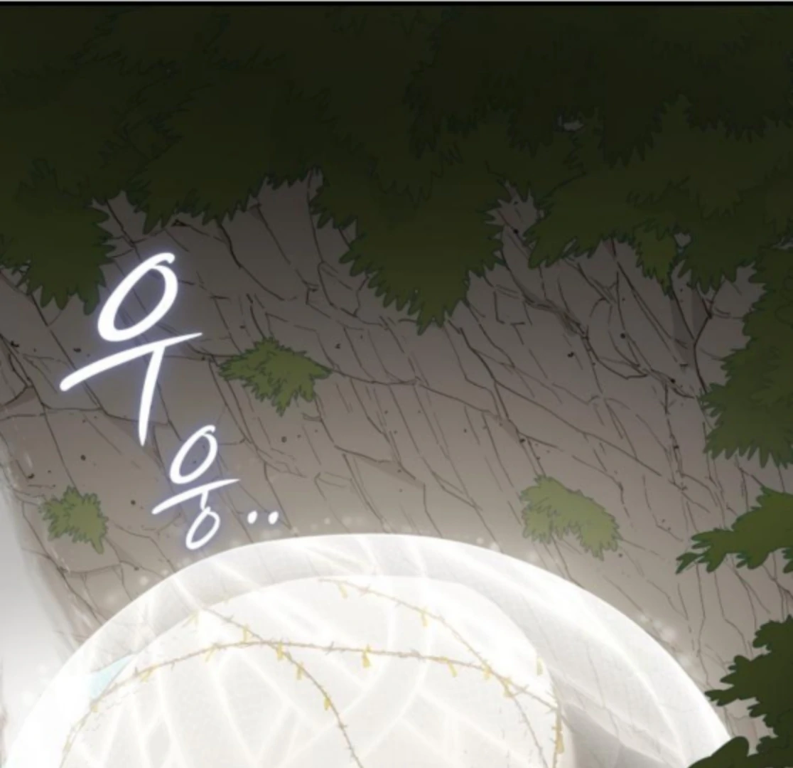 Bari, The Thunder That Awakens the Stars Chapter 6 984 185