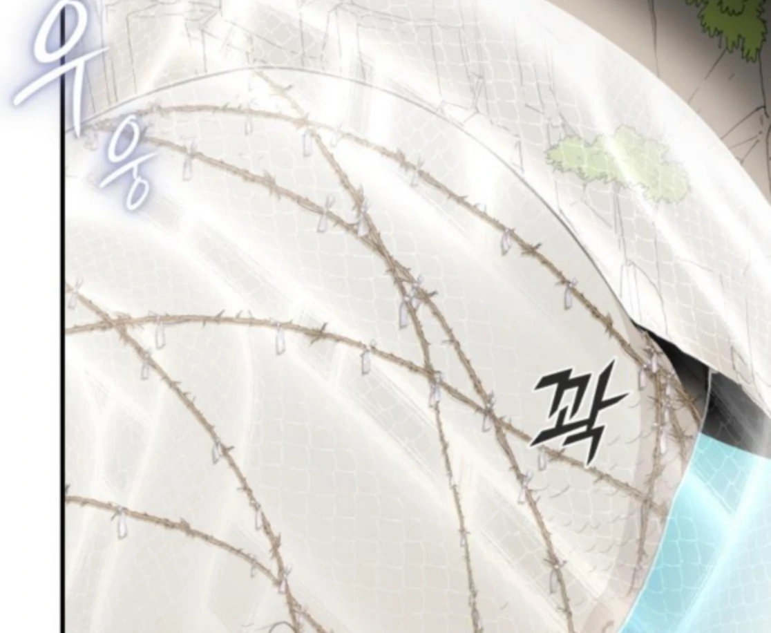 Bari, The Thunder That Awakens the Stars Chapter 6 1006 207