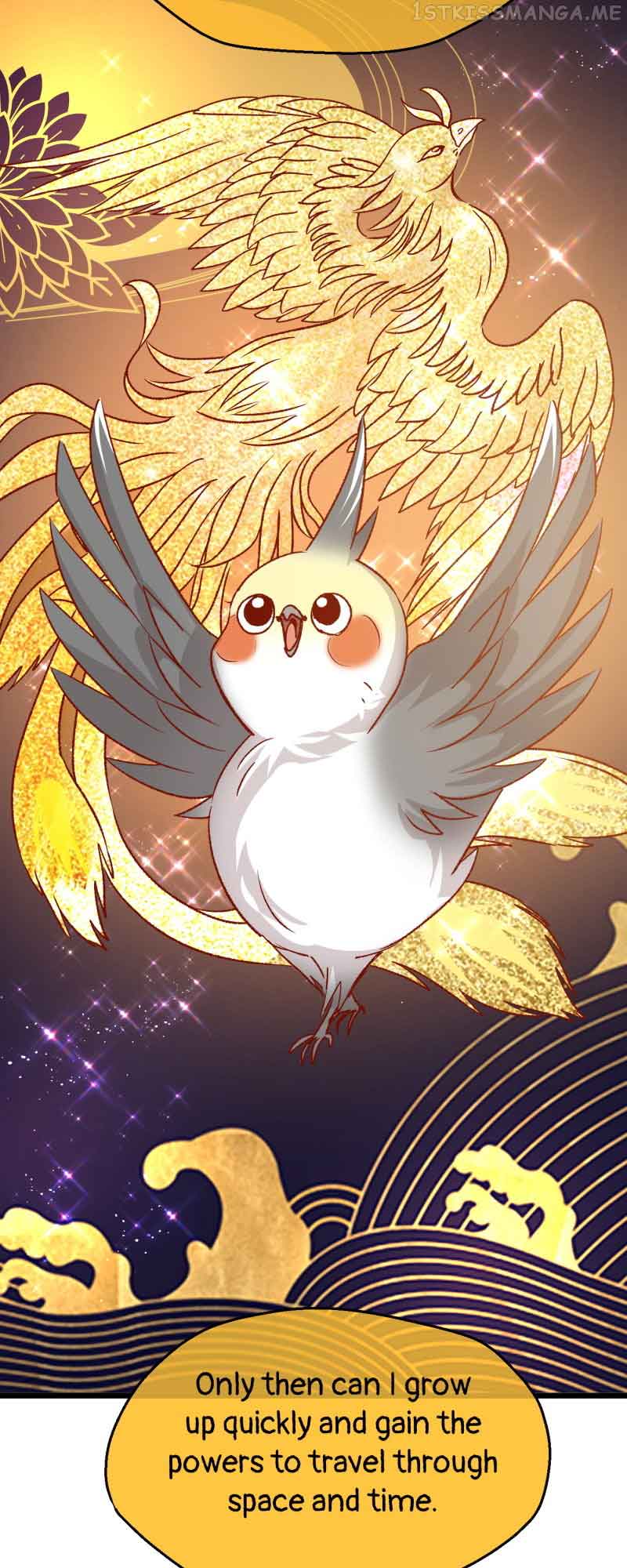 Beauty BIoggers in Another WorId Chapter 75 111 11