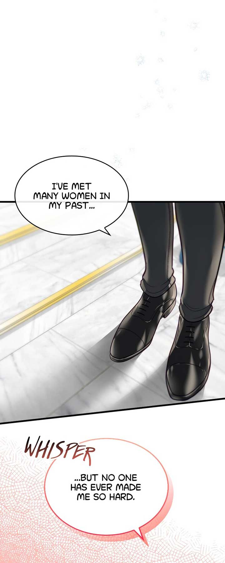 Becoming a Wicked Witch With a Paladin’s First Night Chapter 14 249 35