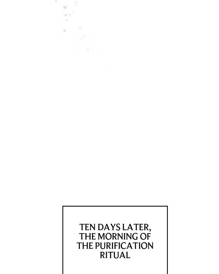 Becoming a Wicked Witch With a Paladin’s First Night Chapter 28 293 ch 28 16