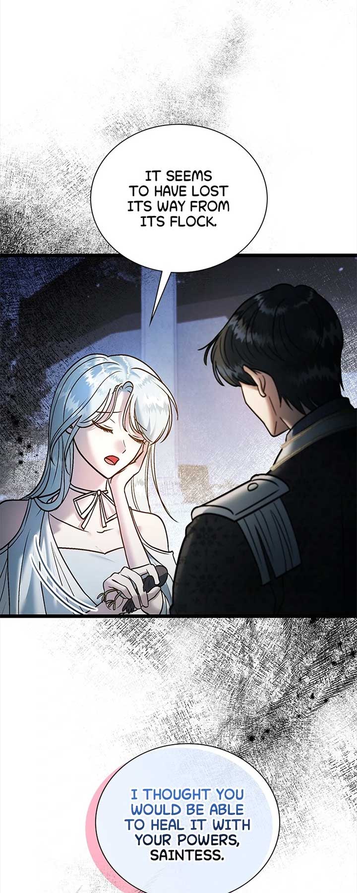 Becoming a Wicked Witch With a Paladin’s First Night Chapter 29 246 ch 29 14