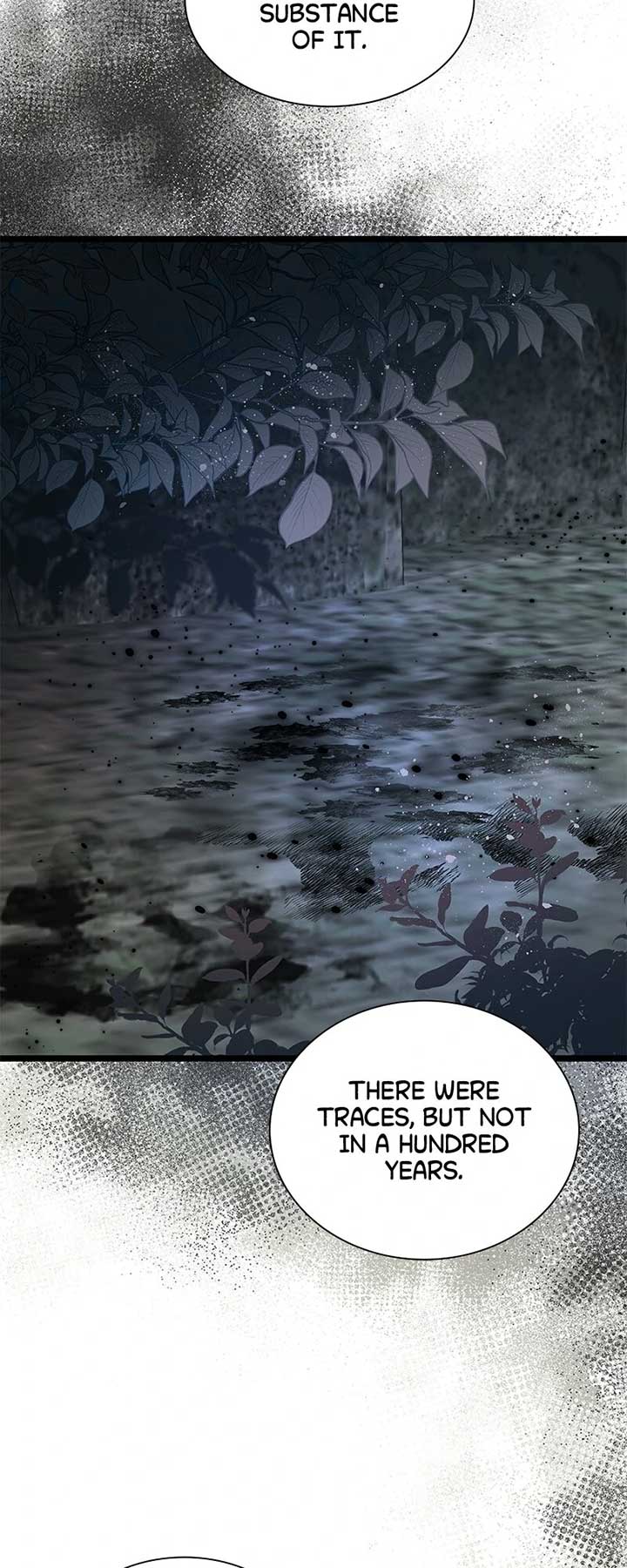 Becoming a Wicked Witch With a Paladin’s First Night Chapter 30 327 ch 30 38