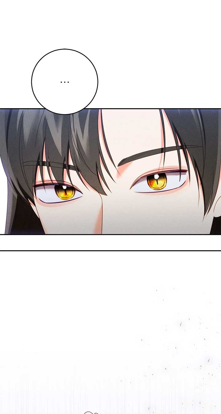 Becoming the Lady of the Cursed Ducal House Chapter 62 260 28