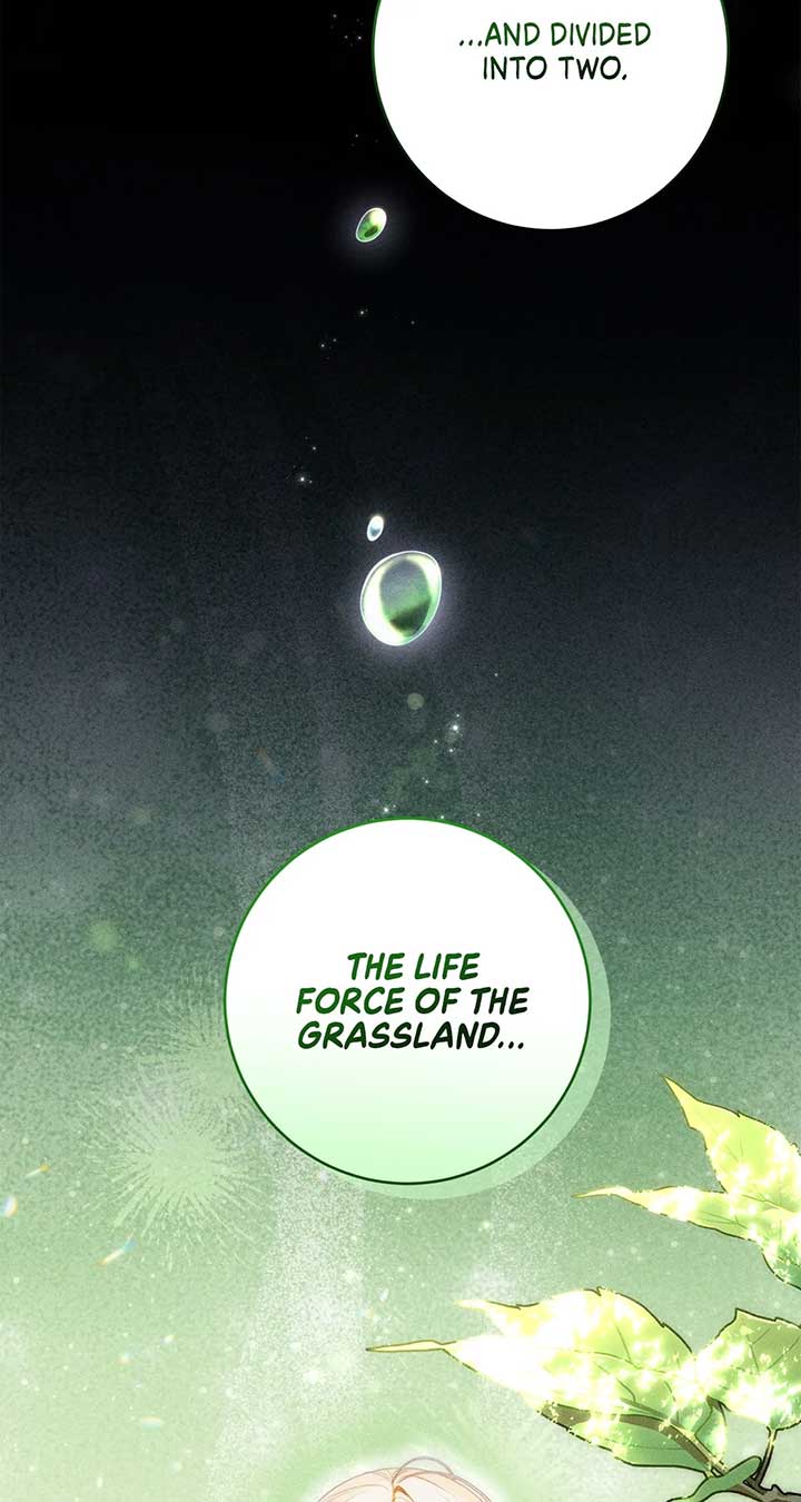 Becoming the Lady of the Cursed Ducal House Chapter 62 279 47