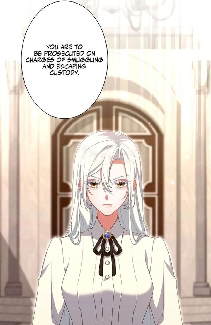 Behold The Perfect Villainess Chapter 18 270 20