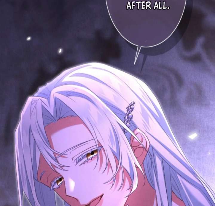 Behold The Perfect Villainess Chapter 3 441 047