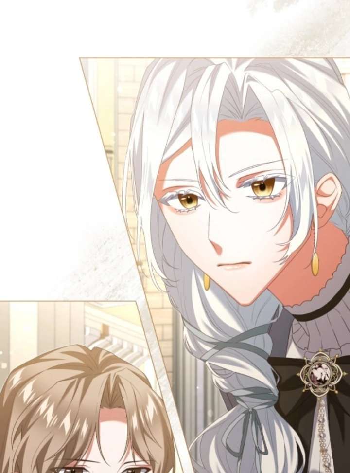 Behold The Perfect Villainess Chapter 7 335 40