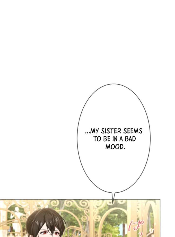 Behold The Perfect Villainess Chapter 8 259 18