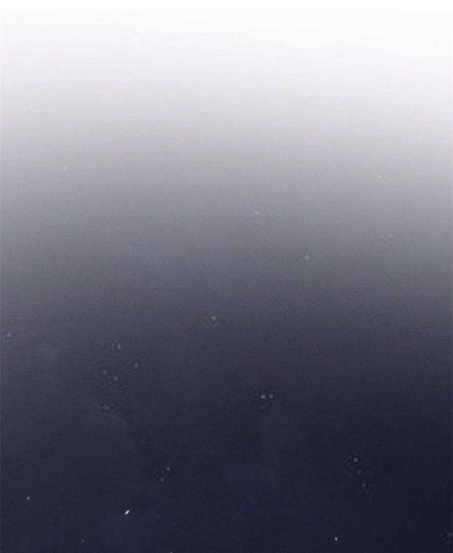 Beneath the Lady’s Mask Chapter 80 314 64