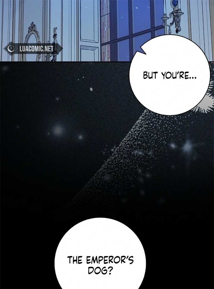 Beware of the Strongest Man Who is Crazy About Me Chapter 51 506 088