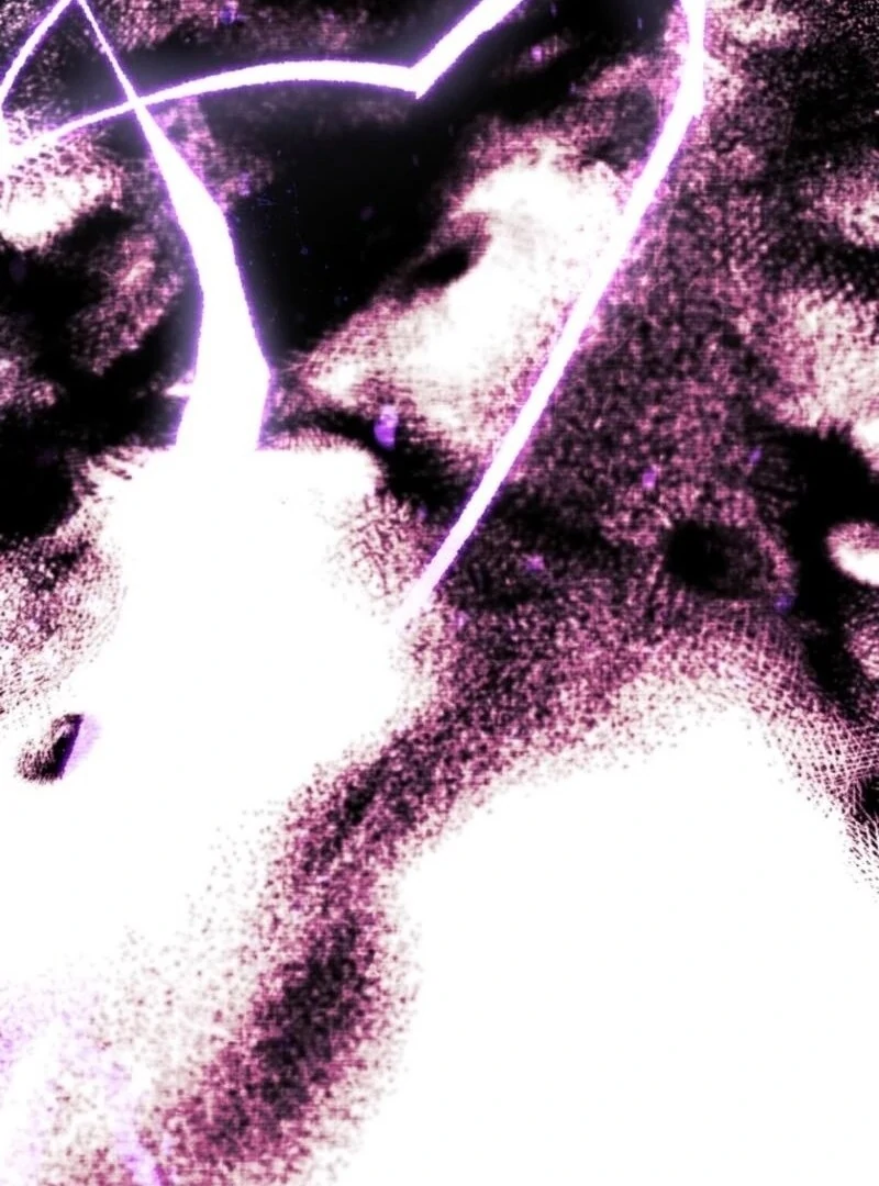 Black Killer Whale Baby Chapter 75 460 048