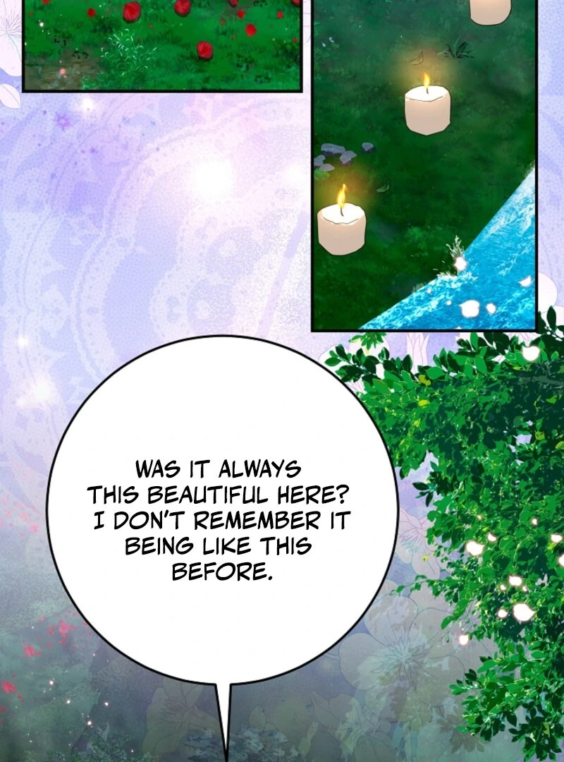 Bluebird Lady and The White Lion Family Chapter 62 431 058