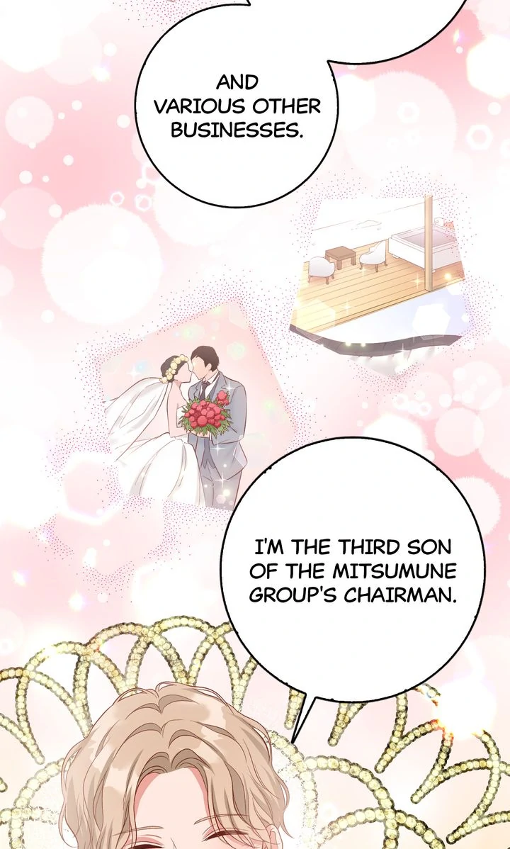 Business Marriage – If You Fall in Love, We’ll Get a Divorce Chapter 19 353 ch 19 67